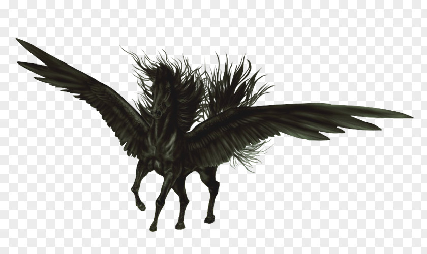 Gg Flying Horses Pegasus Aile Black PNG