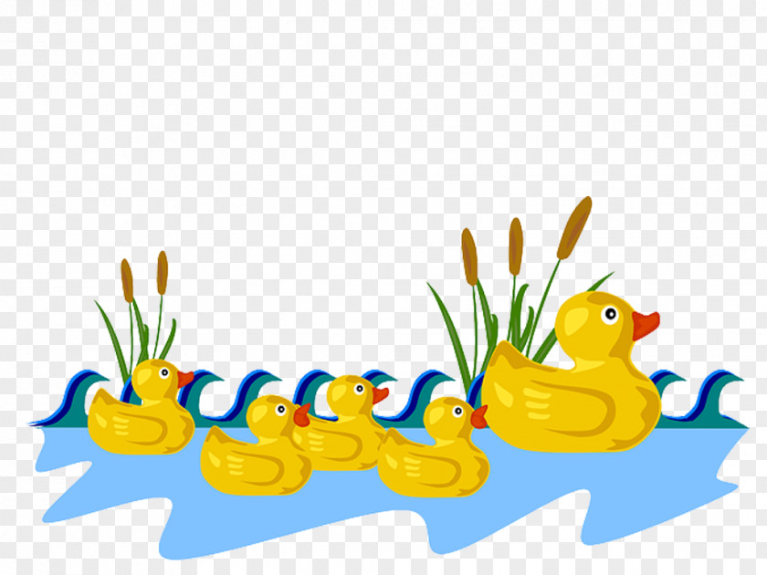 In A Row Baby Ducks Clip Art PNG