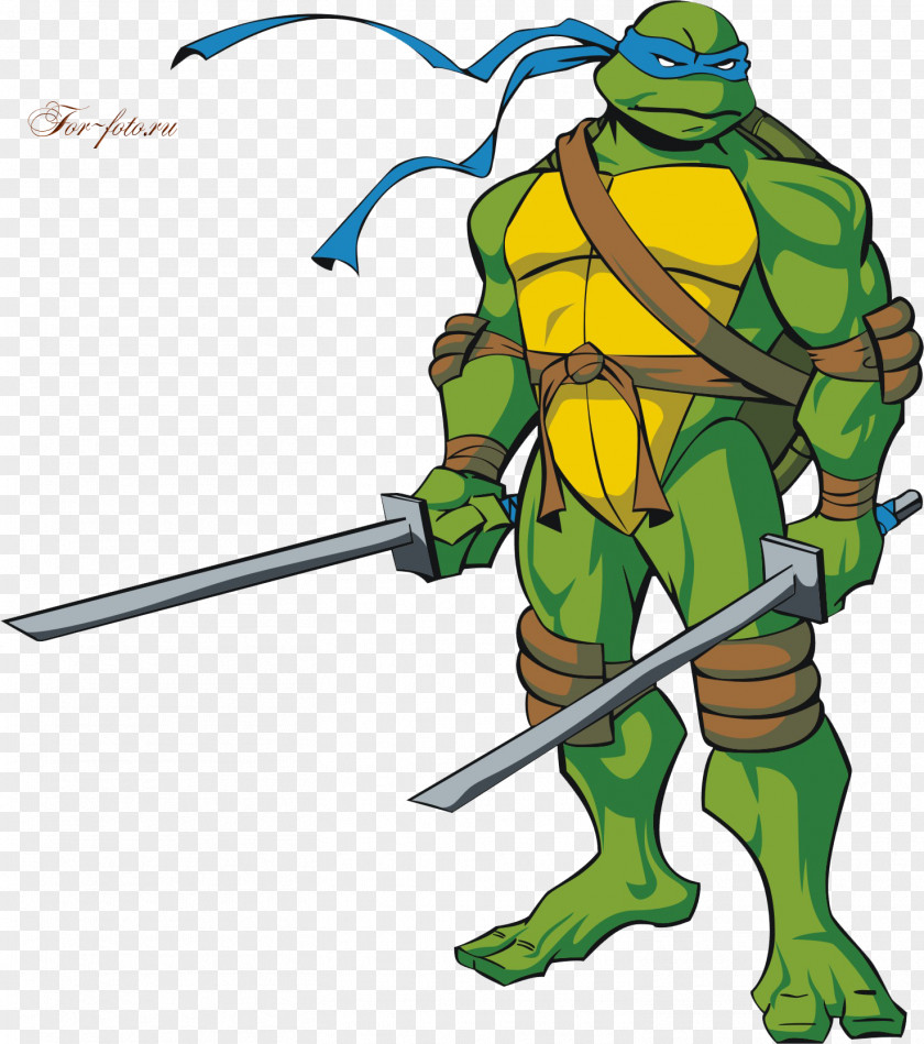 Ninja Turtles Leonardo Raphael Michelangelo Donatello Hamato Yoshi PNG