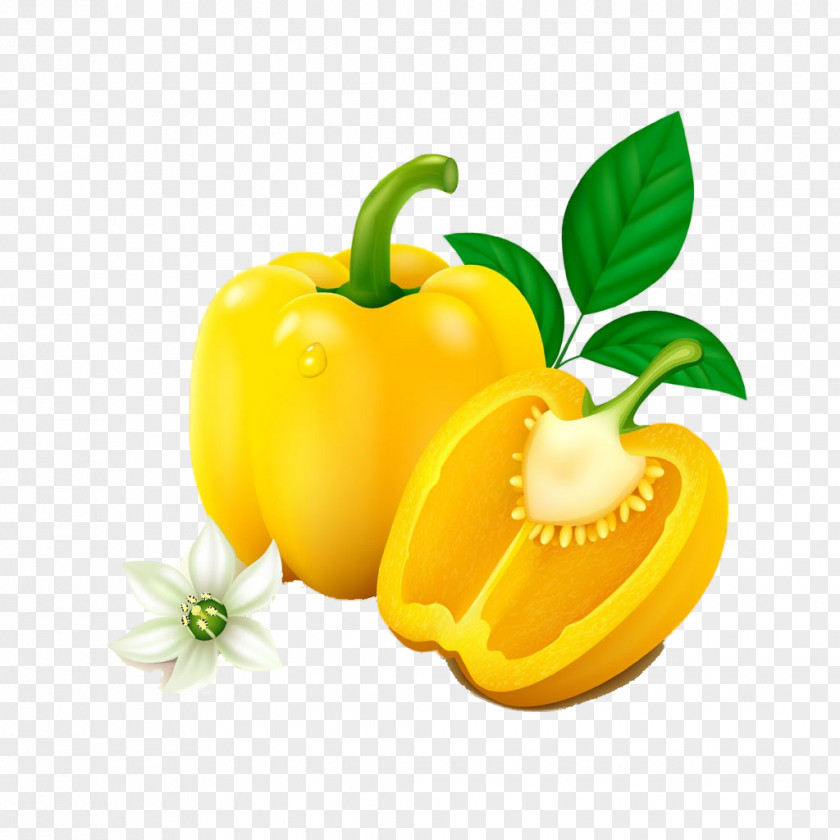 Orange Capsicum PNG
