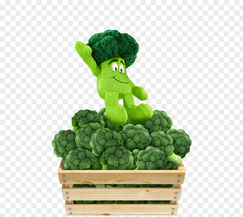 Cauliflower Leaf Vegetable Potato Pancake Recipe Broccoli PNG
