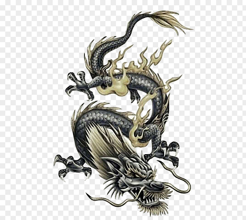 Dragon Japanese Chinese Tattoo PNG