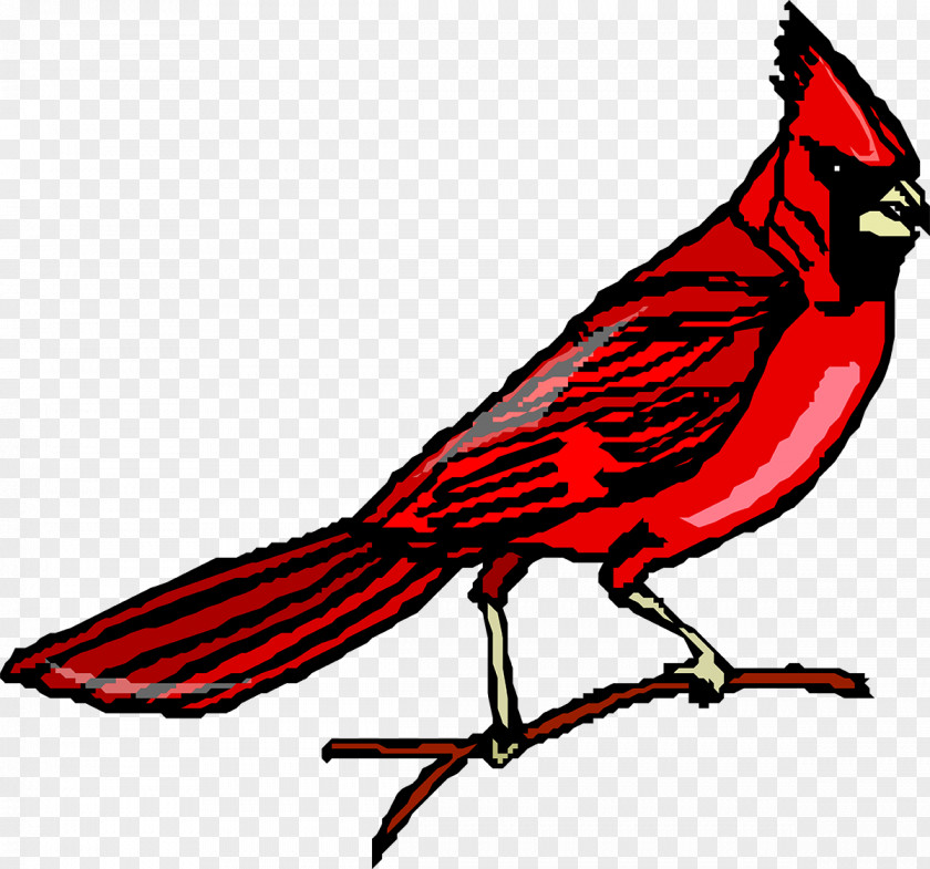 Flock Of Birds Songbird Northern Cardinal Clip Art PNG
