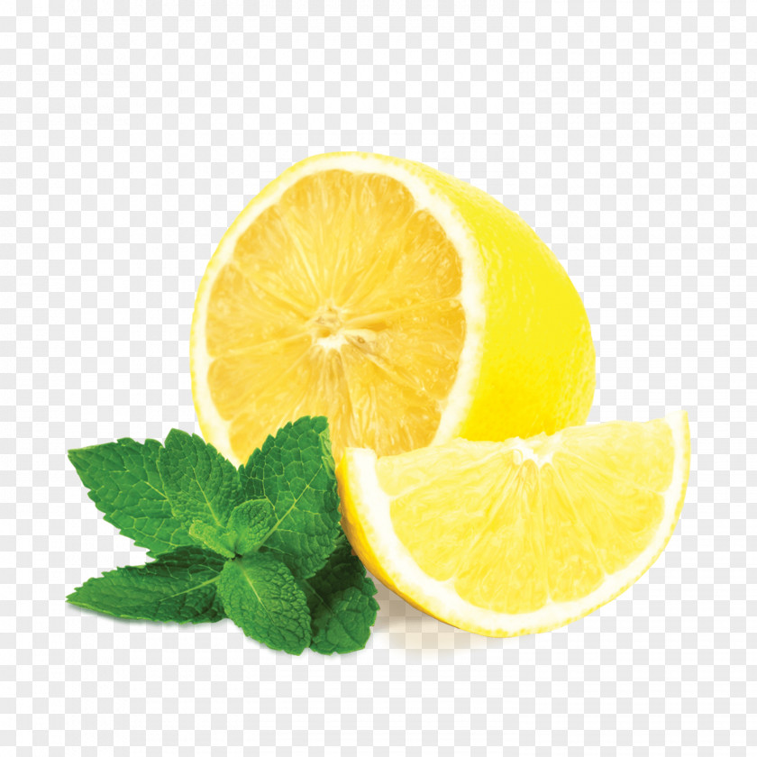 Mint Leaves Tea Lemon Beebalm Mentha Spicata Flavor PNG