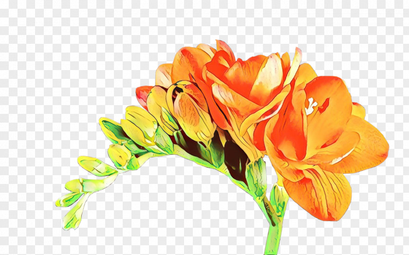 Rose Order Freesia Lily Flower Cartoon PNG