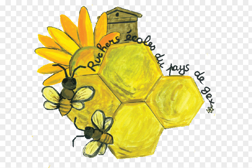 Coles Logo Honey Bee Beekeeping Apiary Eixam PNG