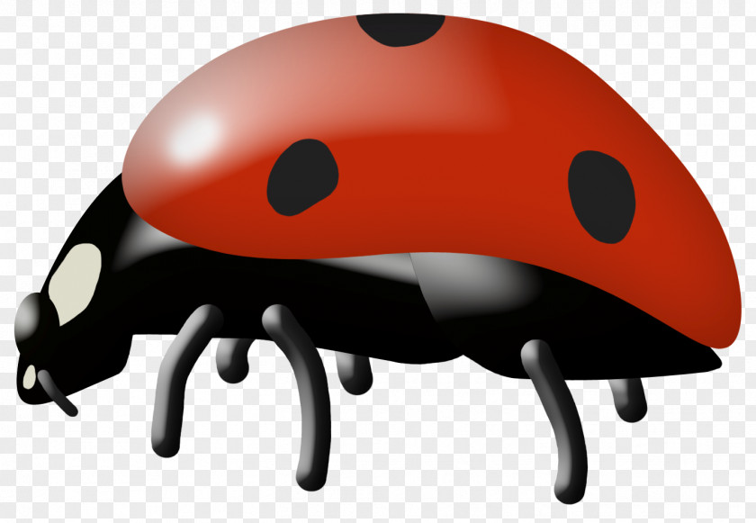 Ladybug Insect Ladybird Cartoon Clip Art PNG