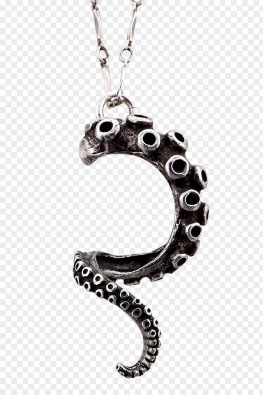 Necklace Pendant Earring Jewellery Silver PNG