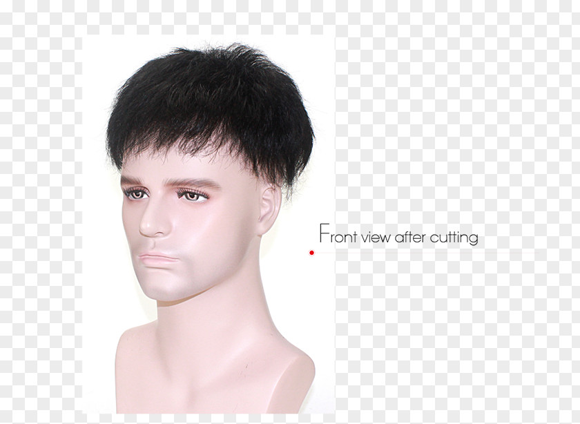 Hair Prótesis Capilar Coloring Skin Human Physical Appearance PNG