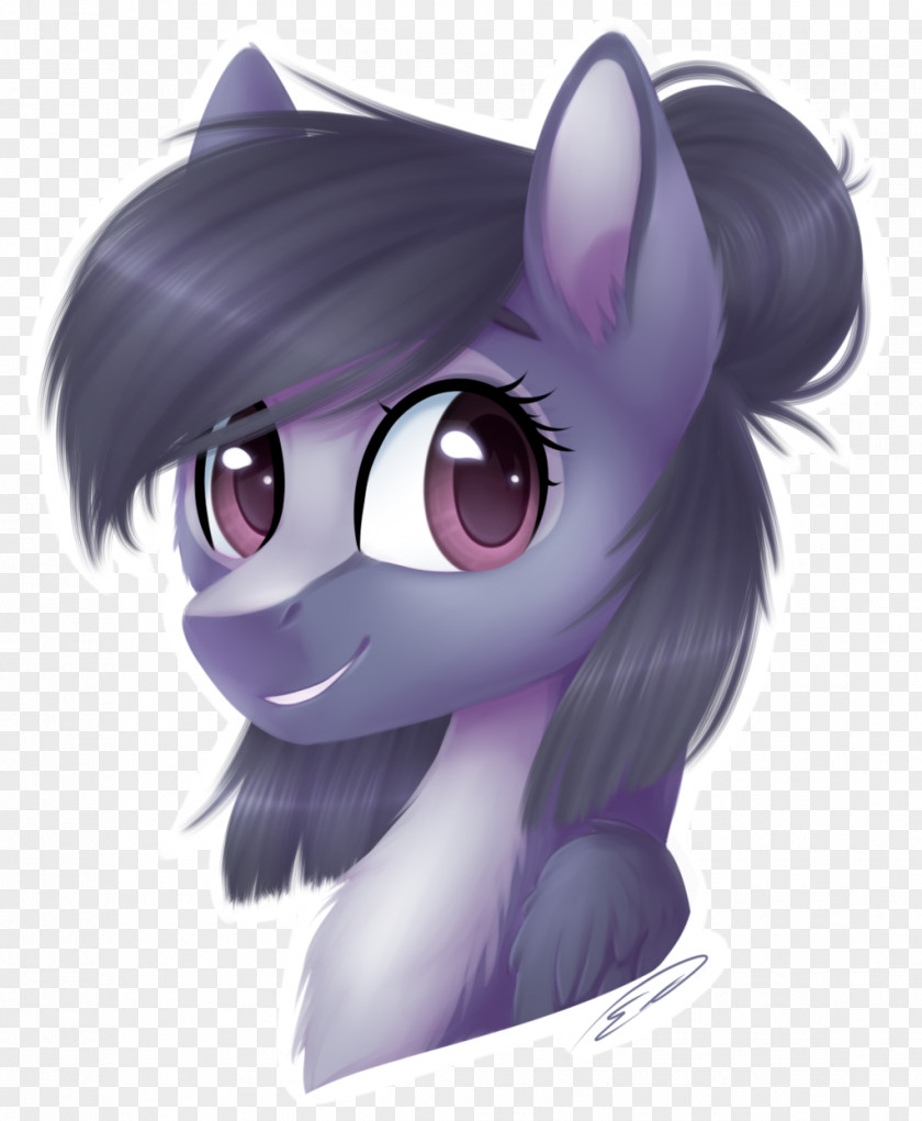 Horse Pony Cat Cartoon Illustration PNG