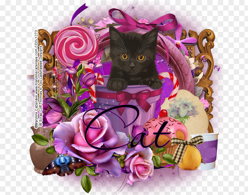 Kitten Whiskers Floral Design PNG