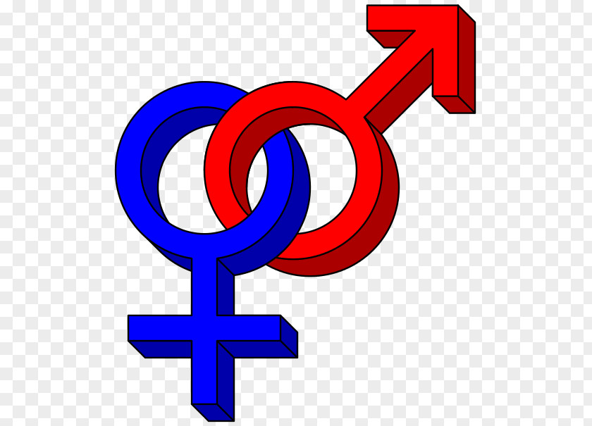 Vector Symbols Gender Symbol Heterosexuality Human Male Sexuality LGBT PNG