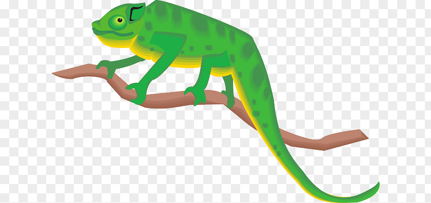 Chameleons Clip Art PNG