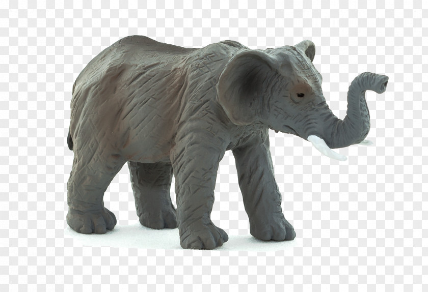 Elephant Asian Animal Planet Baby PNG