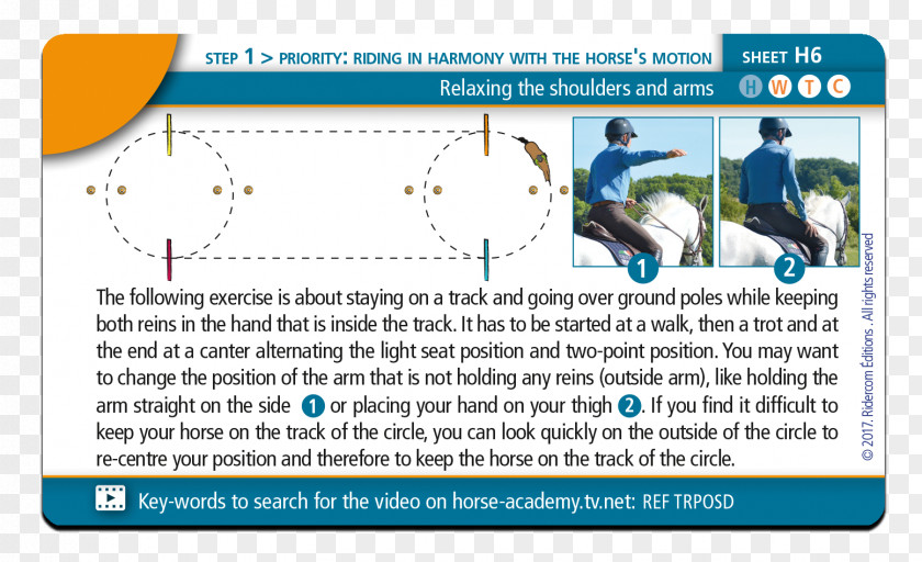 Horse Training Web Page Line Point Recreation Technology PNG