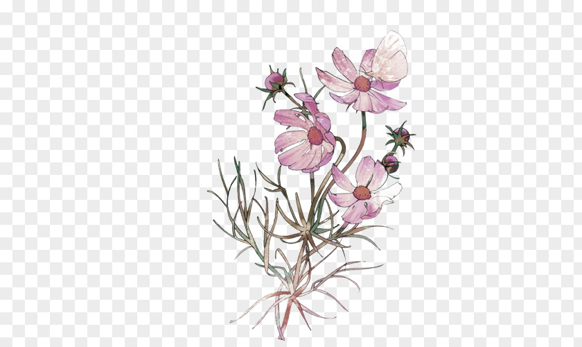 Pale Pink Fresh Bouquet Decorative Pattern Floral Design Nosegay Flower Icon PNG