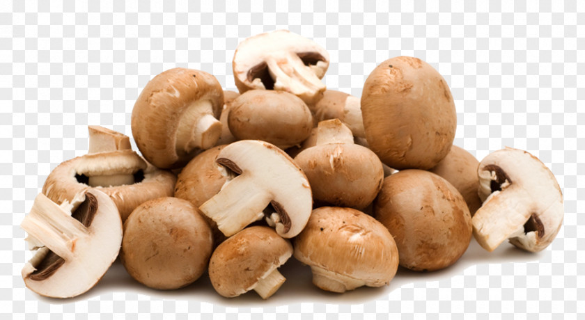 Physical Photography Mushrooms Common Mushroom Shiitake Food Fungus PNG