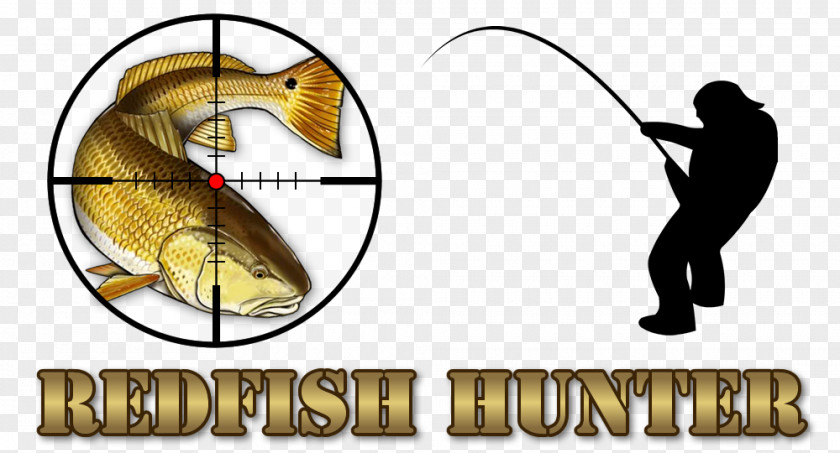 Redfish Homosassa Crystal River Fishing Desktop Wallpaper Clip Art PNG