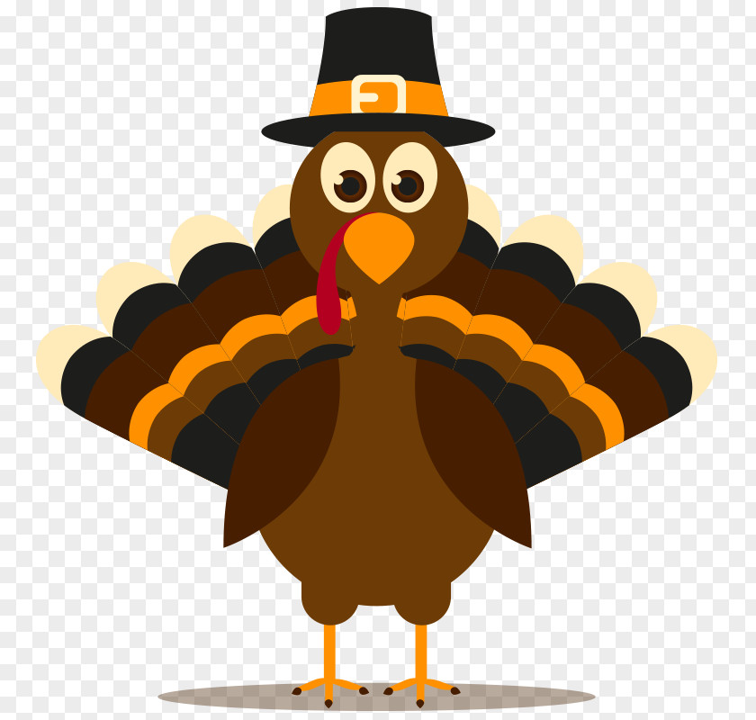 Thanksgiving Vector Graphics Royalty-free Turkey Meat Stock Photography PNG