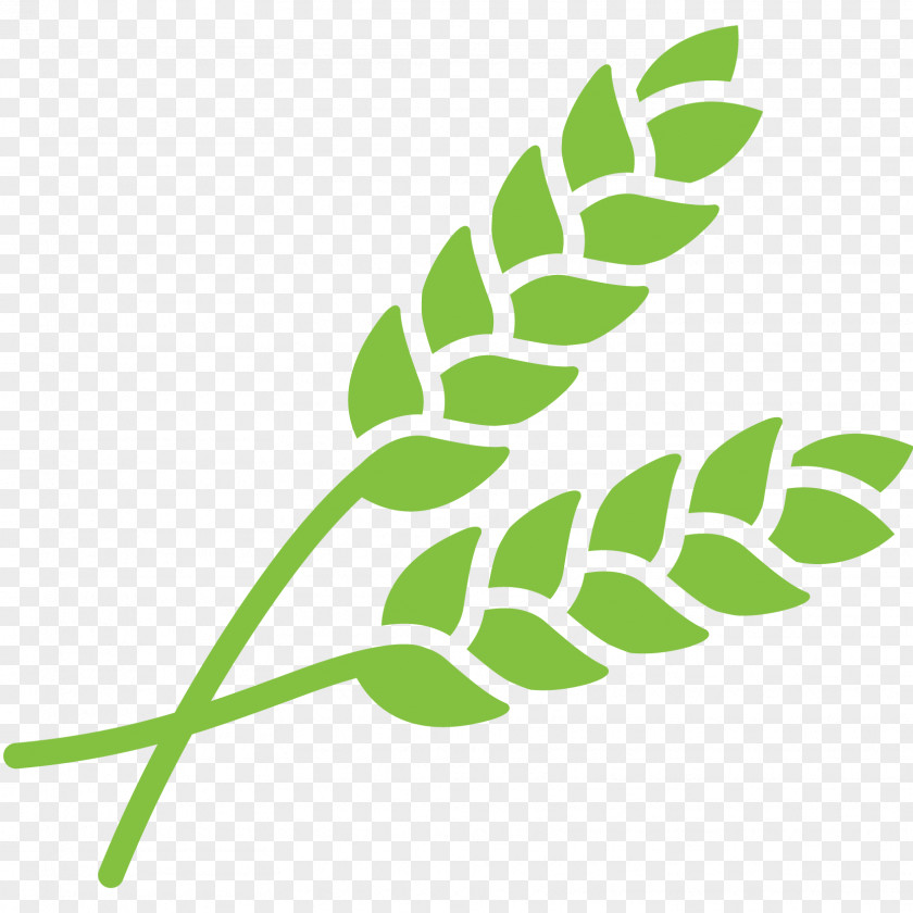 Grain Crop Agriculture Farmer PNG