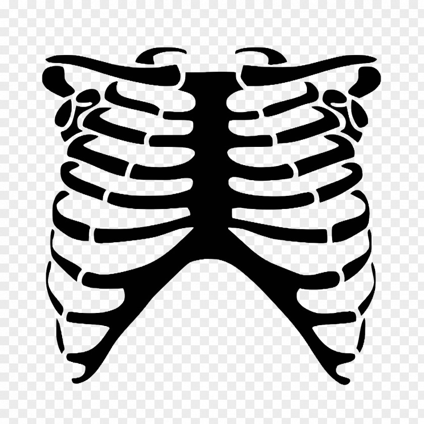 Skull Rib Cage Human Skeleton Bone PNG