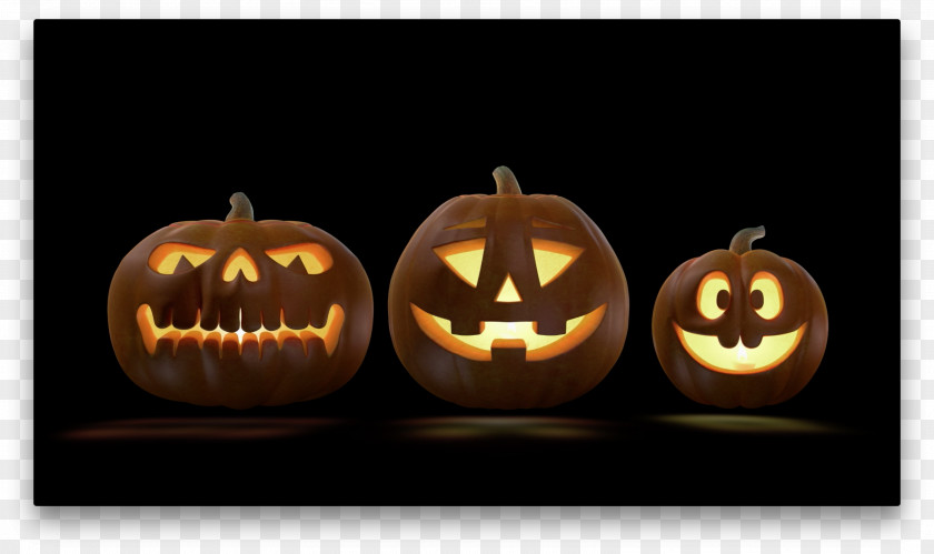Trick Or Treat Jack-o'-lantern Halloween Pumpkin Holiday PNG