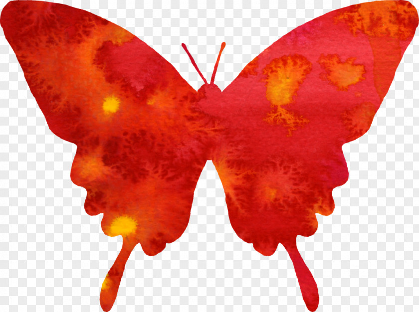 Watercolor Butterfly Painting Red Clip Art PNG