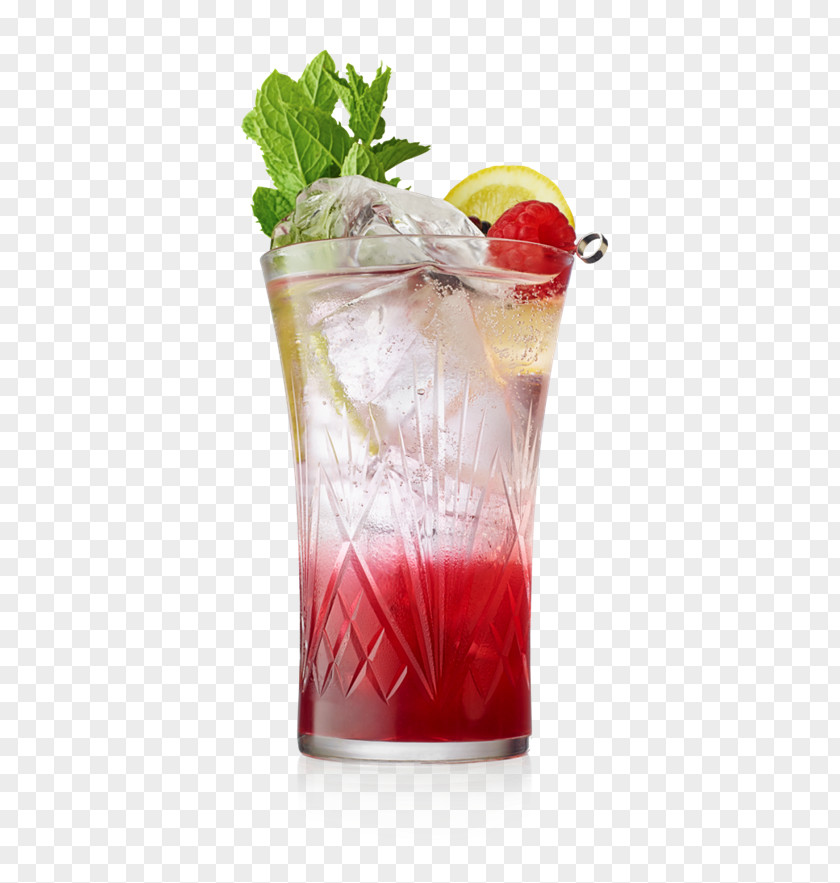 Cocktail Garnish Gin And Tonic Water PNG