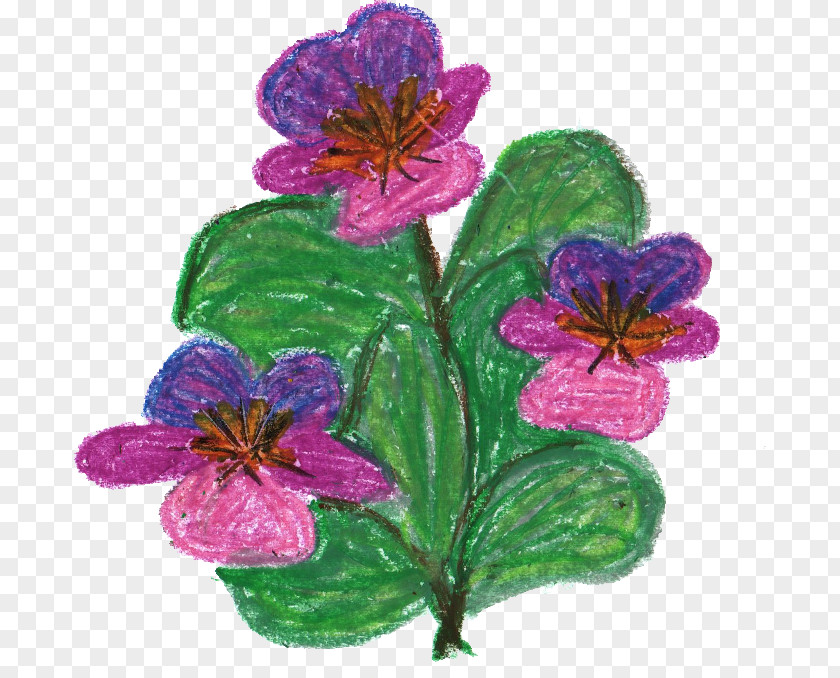 CRAYON Violet Lilac Purple Geraniales Crane's-bill PNG