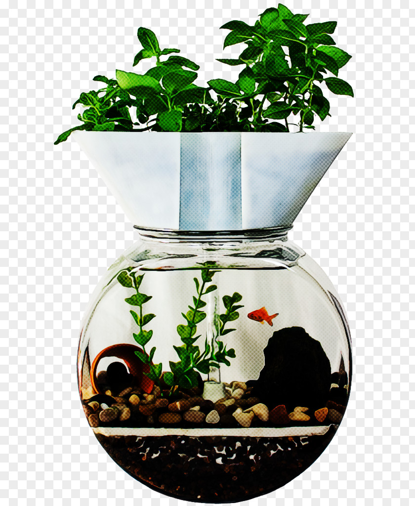 Flowerpot Plant Houseplant Tree Flower PNG