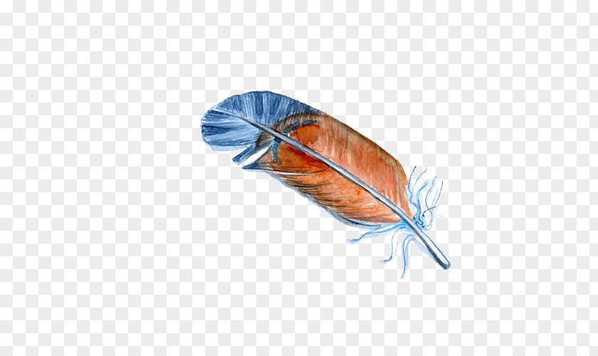 Hand-painted Feather Color Bird Illustration PNG