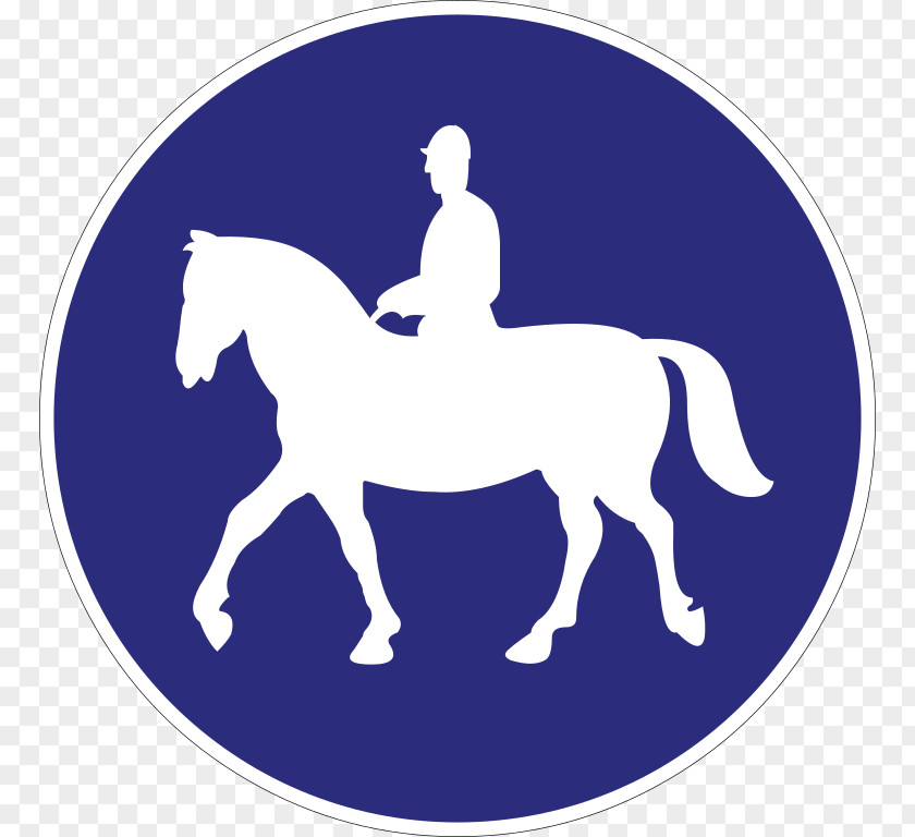 Horse Equestrian Mule Track Stallion PNG