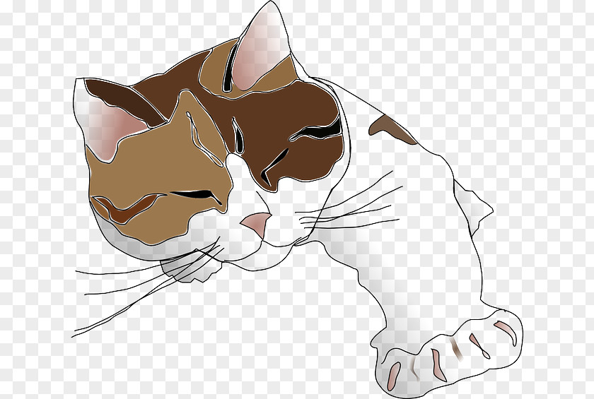 Kitten Sphynx Cat Siamese Calico Clip Art PNG