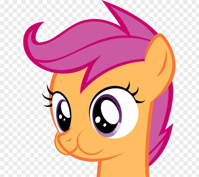 My Little Pony Scootaloo Rarity Rainbow Dash Sweetie Belle PNG