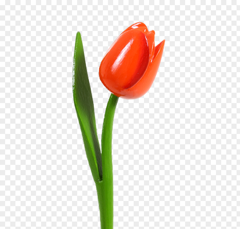 Orange Tulip Petal Close-up Plant Stem PNG