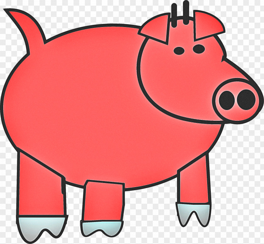 Suidae Snout Pig Cartoon PNG