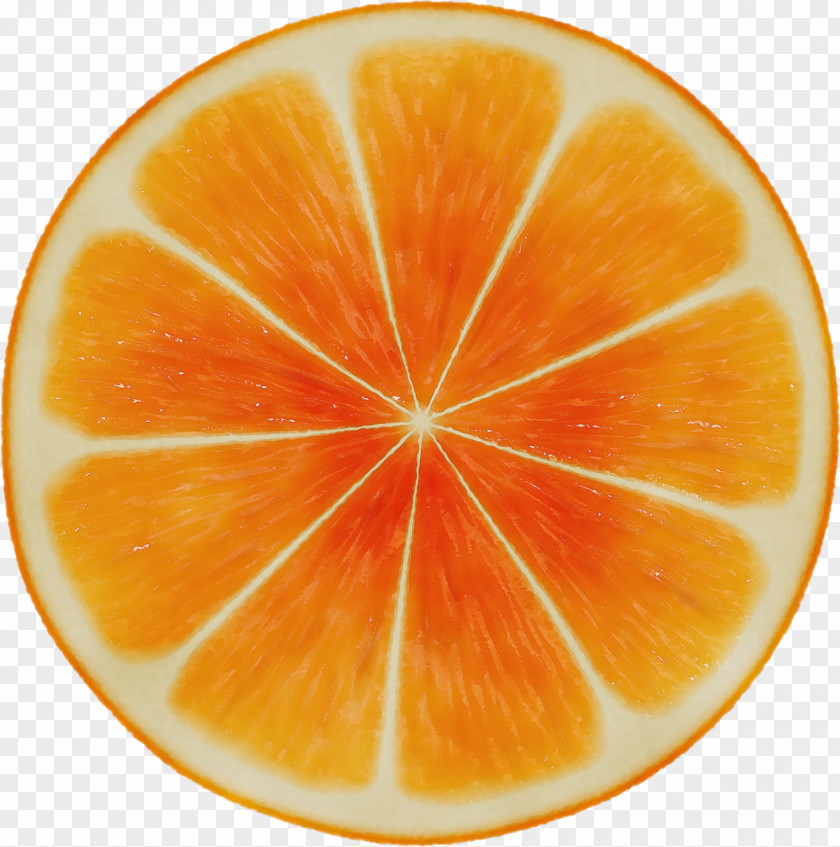 Clementine Grapefruit Orange PNG