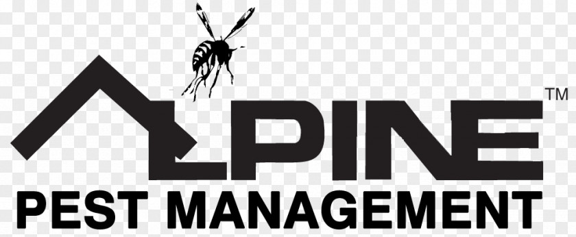Insect Alpine Pest Management Logo Control Varied Carpet Beetle PNG