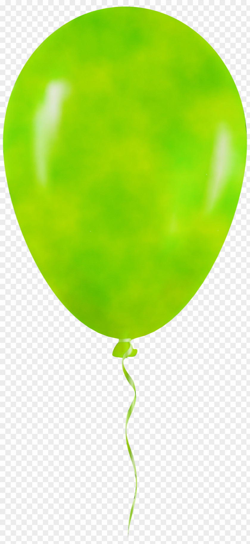 Plant Party Supply Green Balloon Leaf Clip Art PNG