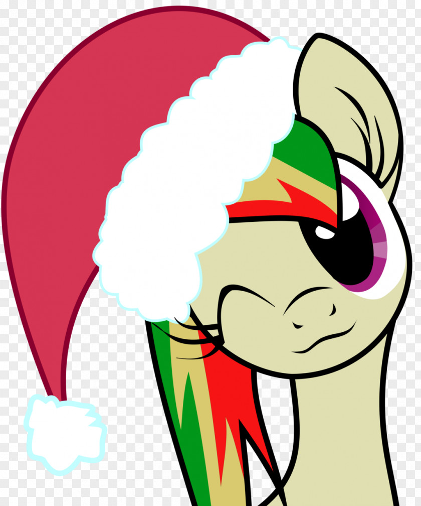 Qodr Derpy Hooves Pony Rainbow Dash Christmas Fluttershy PNG