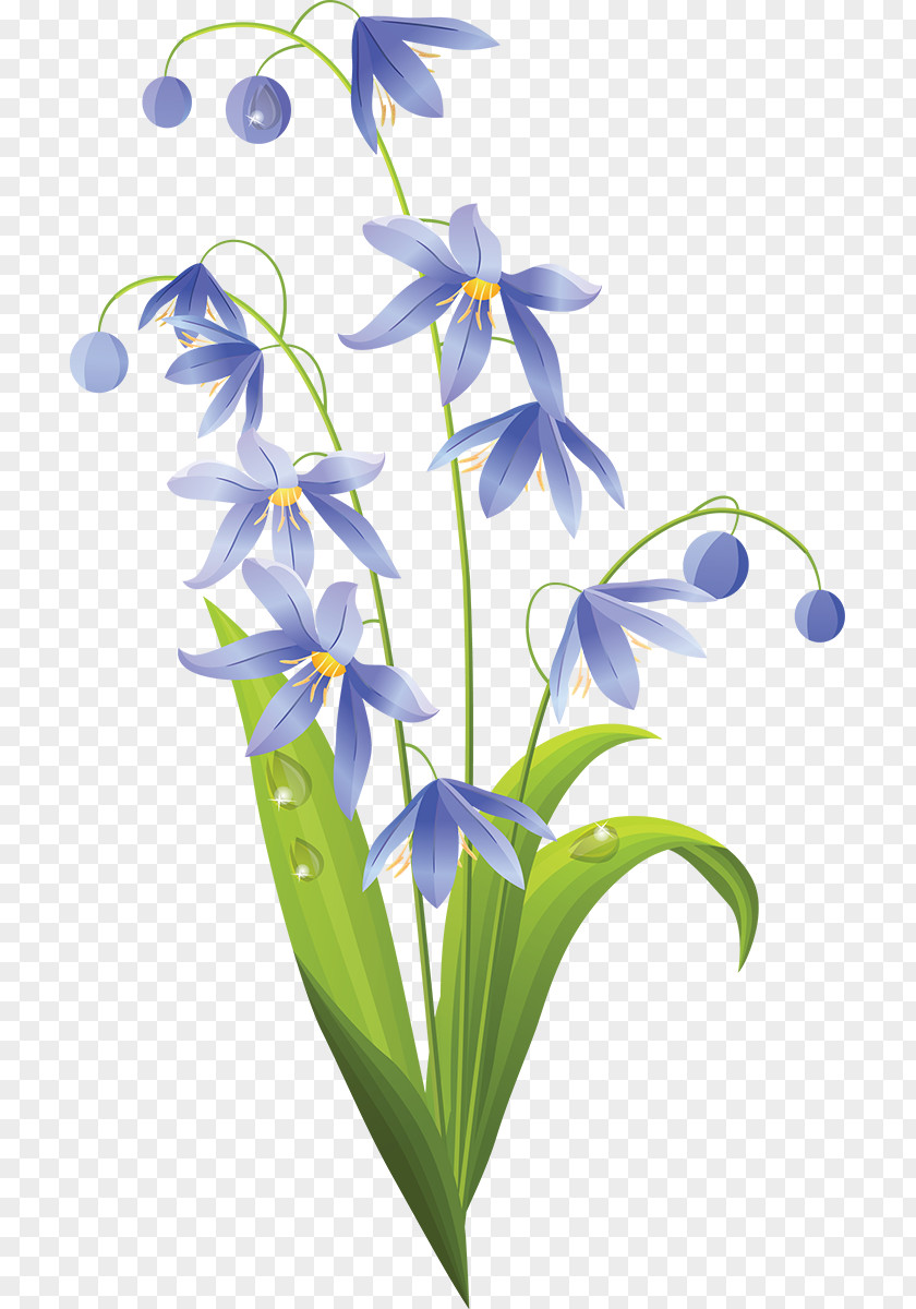 Snowdrop Easter Lily Flower PNG