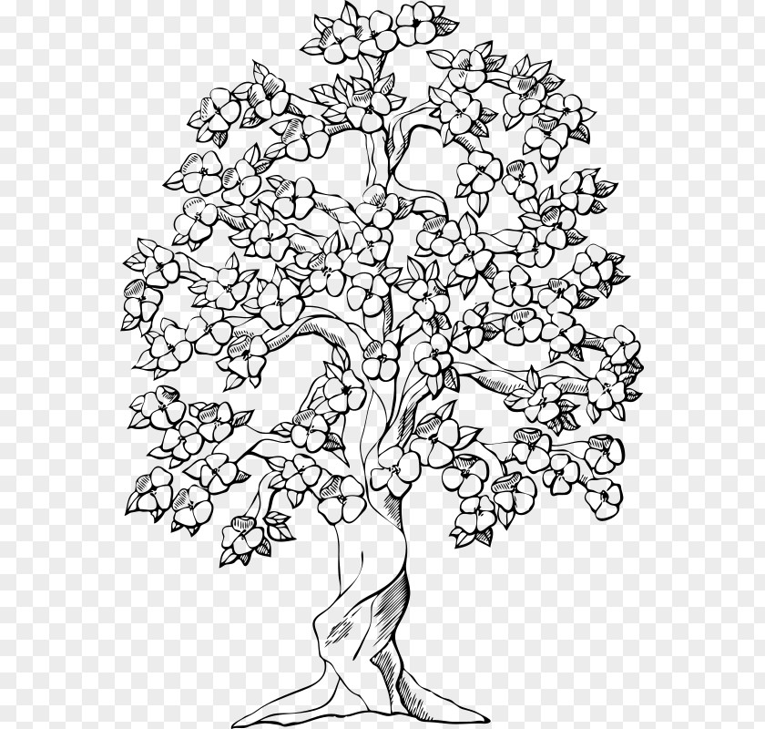 Tree Coloring Book Paper Page PNG