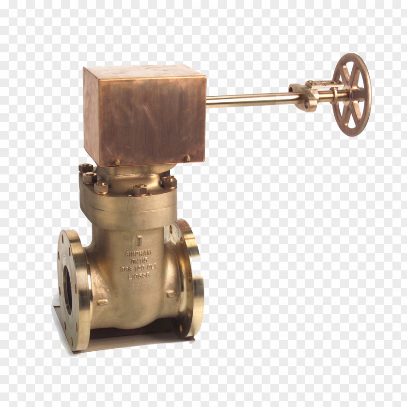 Duplex Strainers Gate Valve Check Pilot Air-operated PNG