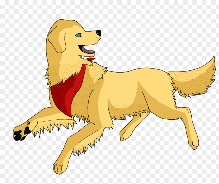 Lion Dog Breed Cat PNG
