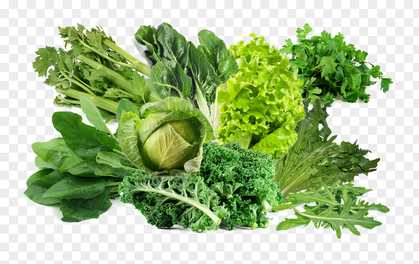 Vegetable Parsley Lettuce Food Health PNG