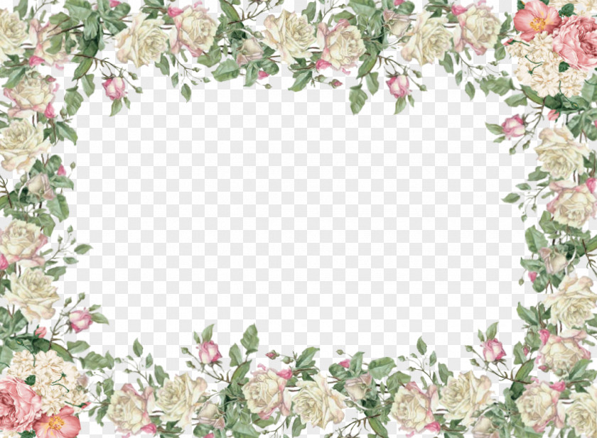 White Flower Frame Transparent Image Picture Clip Art PNG