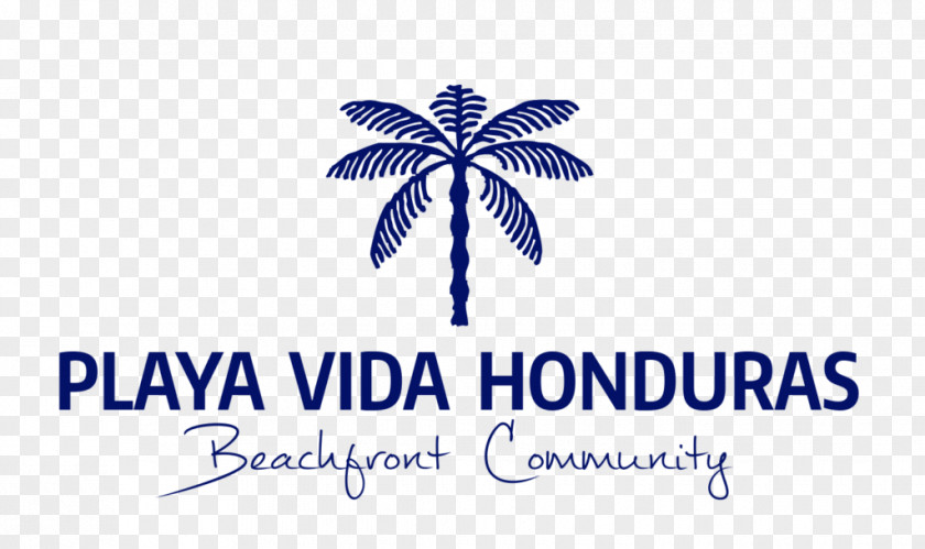 Beach Life Playa Vida Honduras Beachfront Community HGTV House PNG