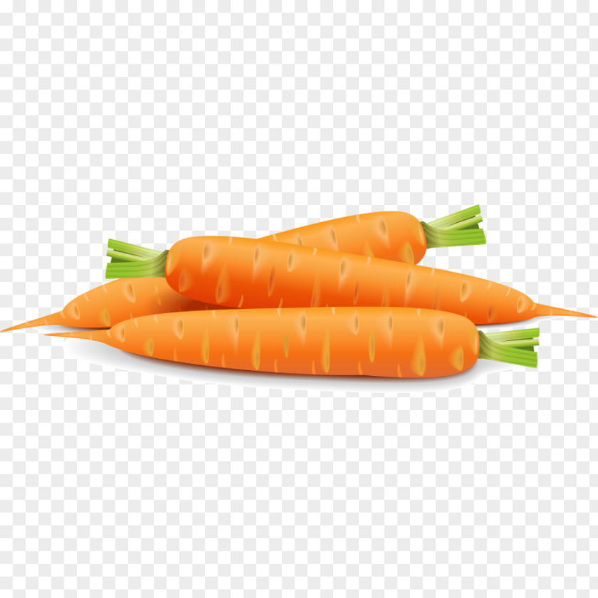 Carrot Baby Vegetable Tomato PNG