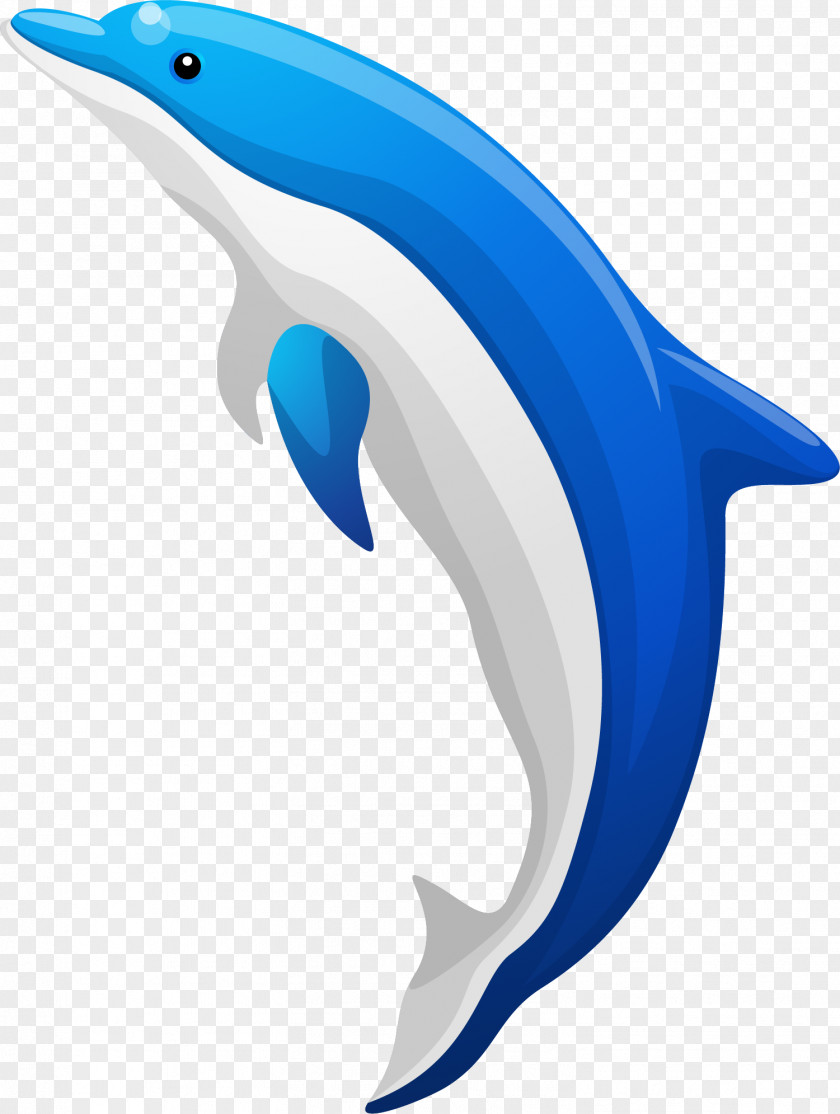 Cartoon Blue Dolphin Common Bottlenose Tucuxi PNG