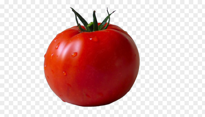 Cherry Tomato Vegetable Juice Clip Art Plum PNG